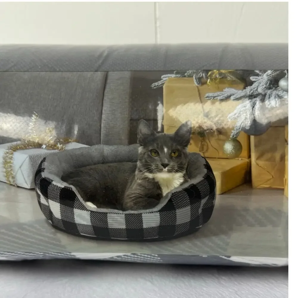 Vibrant Life Round Cuddler Small Dog / Cat Bed Black and White Plaid 19